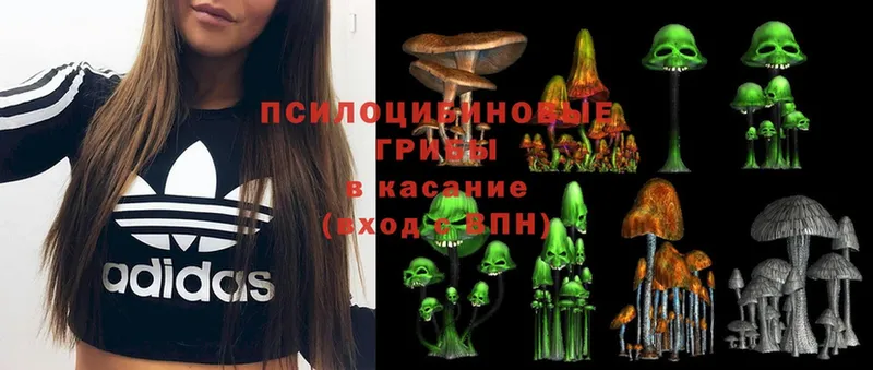 Галлюциногенные грибы MAGIC MUSHROOMS  Моздок 